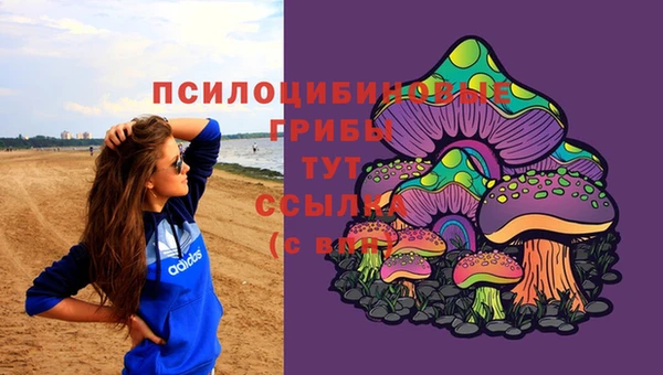гидропоника Абаза